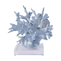 Off-White Resin Coral on Acrylic Base