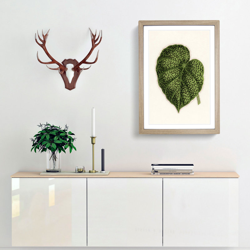 Illustration of a Green Leaf by Benjamin Fawcett - Framed Print, 50cm H x 35cm W x 2cm D, Oak