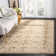 Patrick Performance Oriental Rug