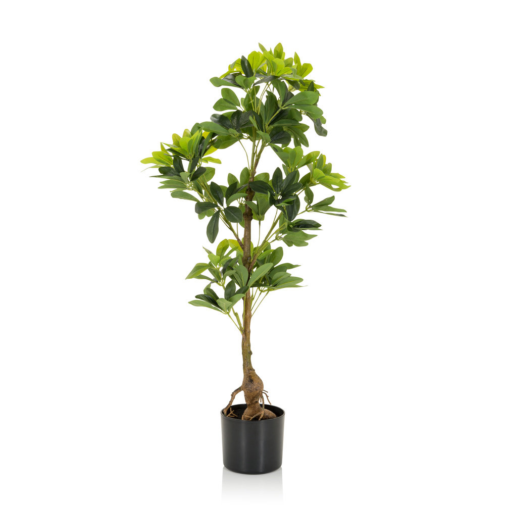 Kunstpflanze Schefflera im Topf