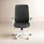 Max Mesh Task Chair-17245140