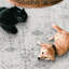 Tapis lavables en machine Roshun Noor-1478231855-1513752798