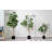 Faux Money Tree Plant in Pot-1382433208