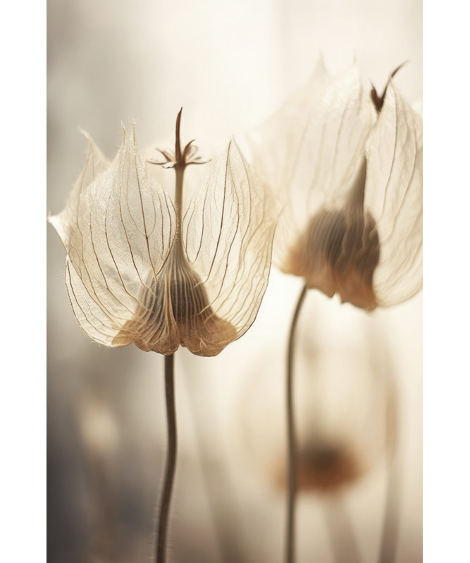 Wrapped Canvas Print, 76.2 cm H x 50.8 cm W
