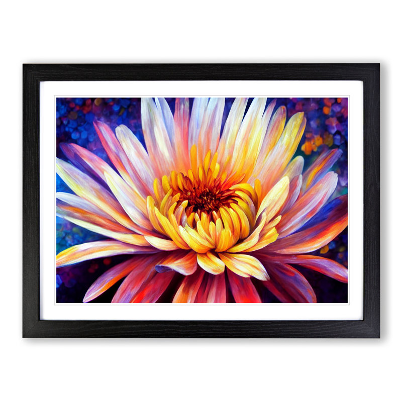 A Chrysanthemum Flower - Framed Print, Black, 46cm H x 64cm W x 2cm D