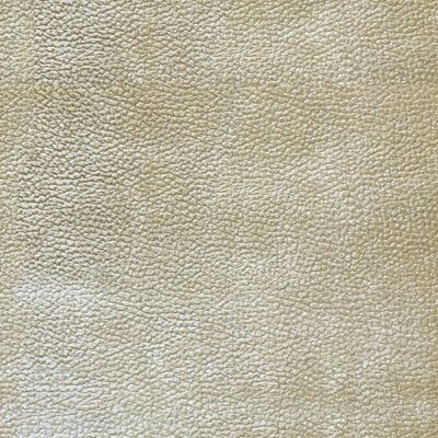Textured Solid Velvet | Felix Fabric_FELIX