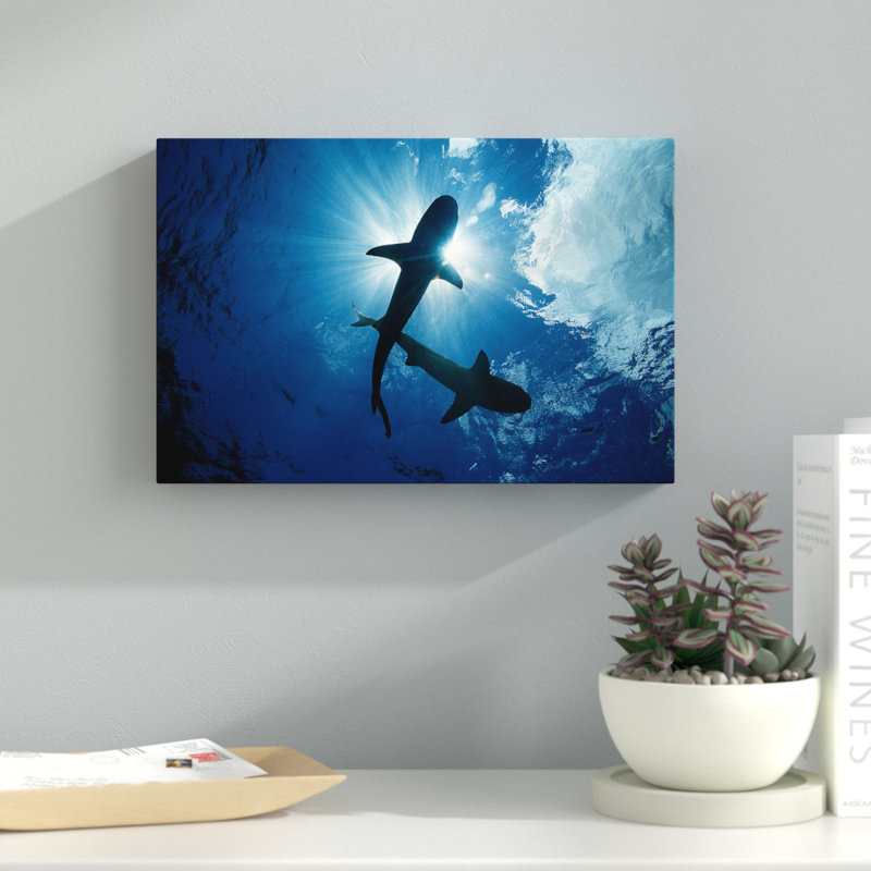 " Blacktip Reef Sharks Pair " by David Fleetham, 20" H x 30" W x 1.5" D
