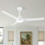Ceiling Fan With Led Light, 132 Cm Diameter, Matte White, 6 Speed Settings, Dimmable