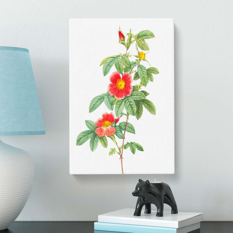 Single May Rose In Pink by Pierre-Joseph Redoute - Wrapped Canvas, 50cm H x 35cm W x 3cm D