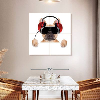 Bouledogue français Bramoph audiophile