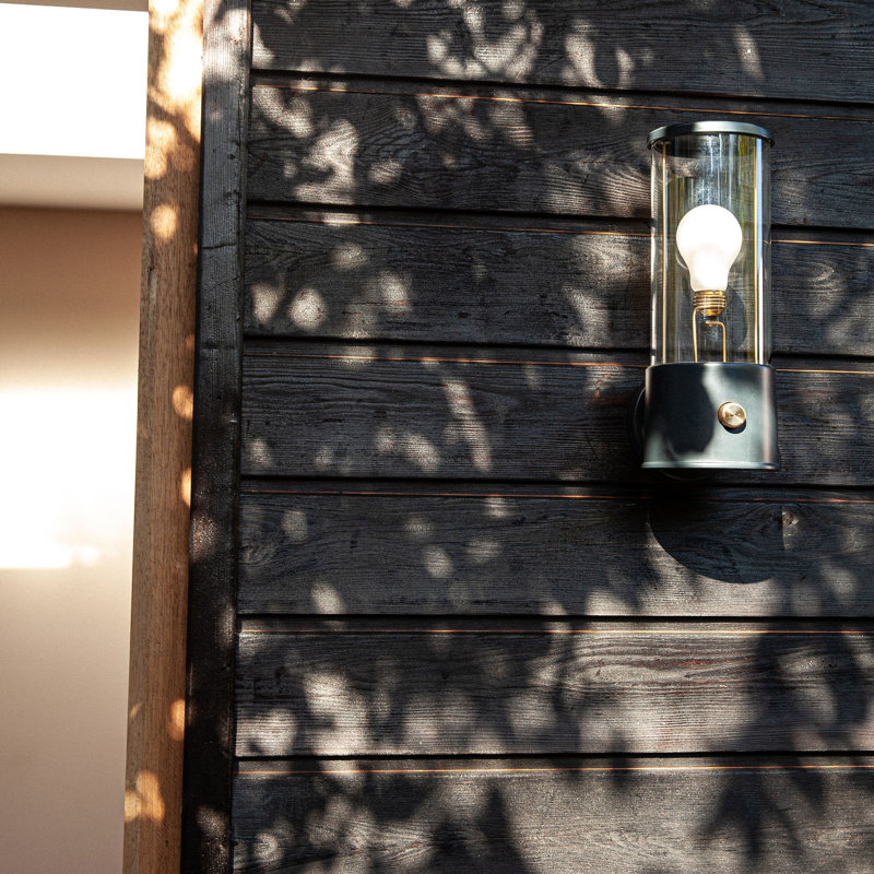 Muse 1 - Light Wallchiere, Hackles Black