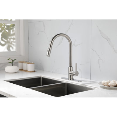 Kitchen Faucet With Pull Down Sprayer
