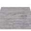 Area Rug in Gray