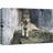Animals " A Wolf Laying On A Boulder "-100095366-100095364