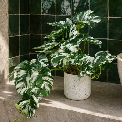 Plastic, Silk Monstera Arrangement in Pot