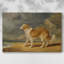 Portrait of a Collie on a Cliff-James Ward-Gallery Wrapped Canvas-c. early 19th Century-1757695694