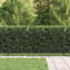 200 cm W Fence Panels Fencing with 1 Panel(s) Included Panel(s) Included-124587307