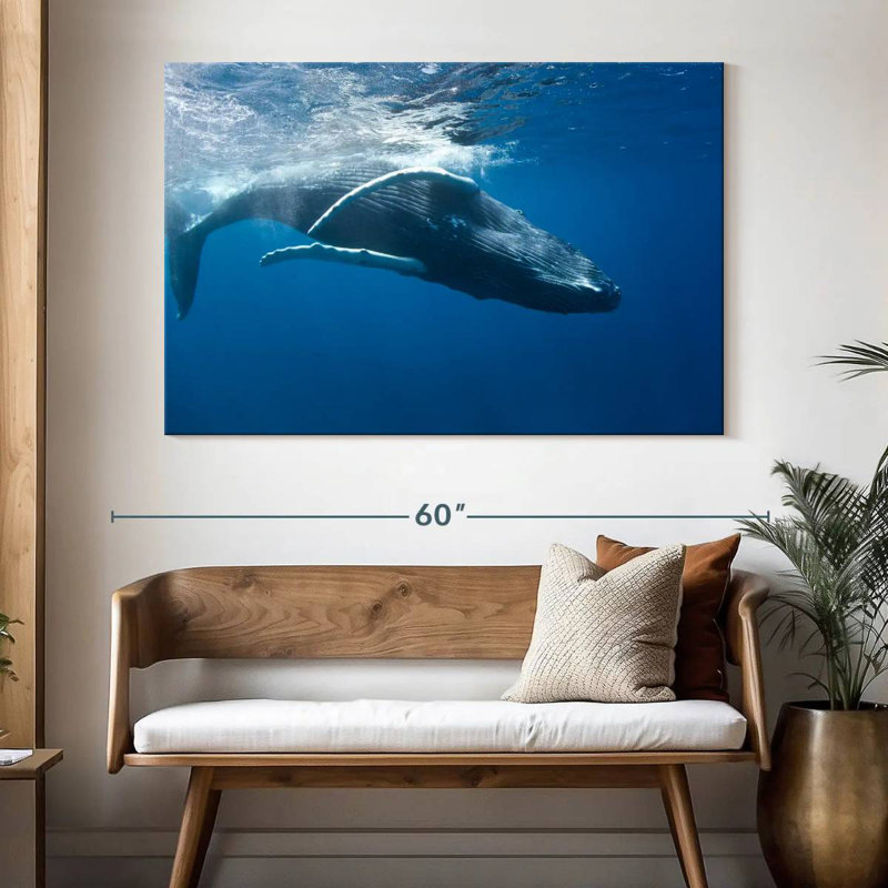 Brampt Humpback Whale