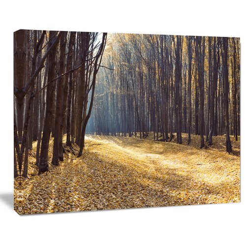 DesignArt Path In The Fall Forest Panorama On Canvas Print | Wayfair