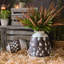 Vase de table fabriqué main Baze