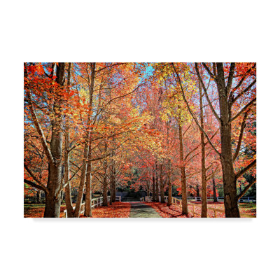 « automne steet », reproduction de photo sur toile tendue