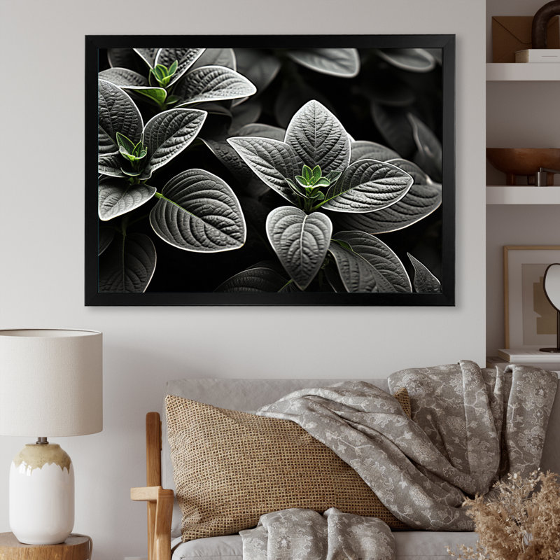 Plantes grises, sérénité botanique sur toile, Cadre photo noir, H 30 po x l 40 po x P 1,5 po