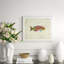 Vibrant Fish 5 Giclee Print