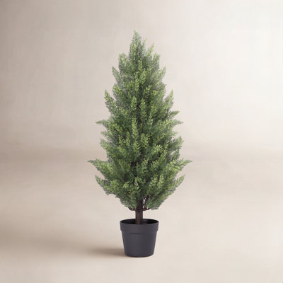 Cedar Topiary in Pot