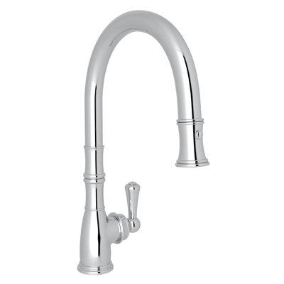 Georgian Era Pull-Down Kitchen Faucet