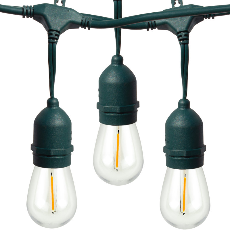 Burroughs  48' Outdoor 15 - Bulb Standard String Light, Green