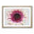Oak Framed selected