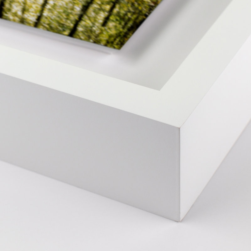 Glittering Trees Print by Geoffrey Baris, White, 25" H x 40" W x 2.5" D