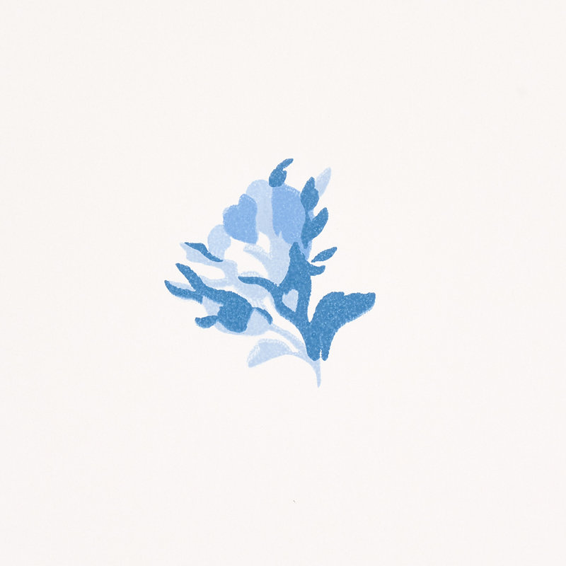 Margie Floral Wallpaper, Porcelain