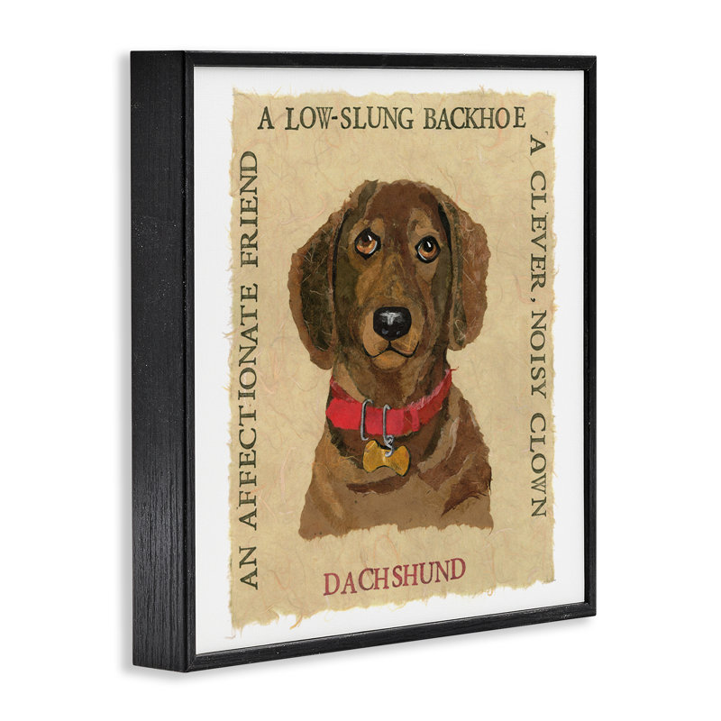 «Fun Dachshund Pet», giclée encadrée par Nancy Overton, H 12 po x l 12 po, Giclée encadrée noir minuit