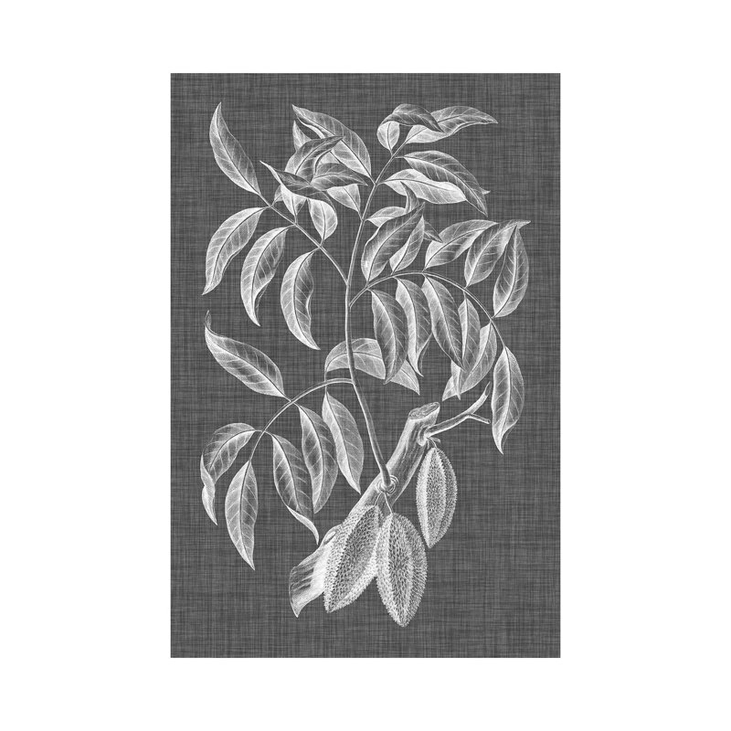 Graphic Foliage III - Wrapped Canvas Print, 101.6 cm H x 66.04 cm W x 1.91 cm D