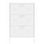 Armoire de rangement pour chaussures avec 3 tiroirs rabattables, organisateur pour armoire à chaussures autoportant avec cadre en métal pour entrée, couloir, vestibule, blanc