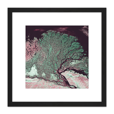 Abstract Tree Growth Nature - Single Picture Frame Painting