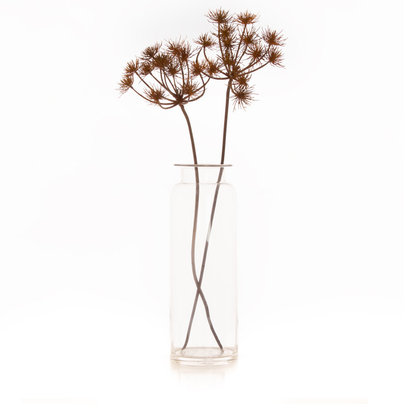 65cm Faux Queen Anne's Lace Stem Brown Re-pack