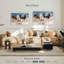 Brampt, chevaux de course-107716746