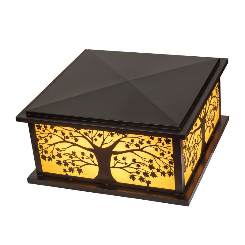 Colorful Lantern Head