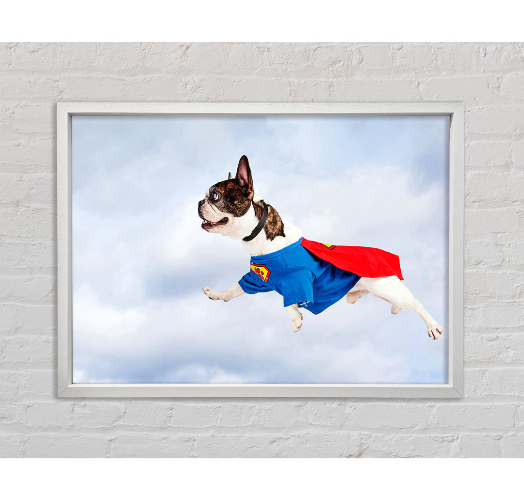 Gerahmtes Poster Super Dog Skies