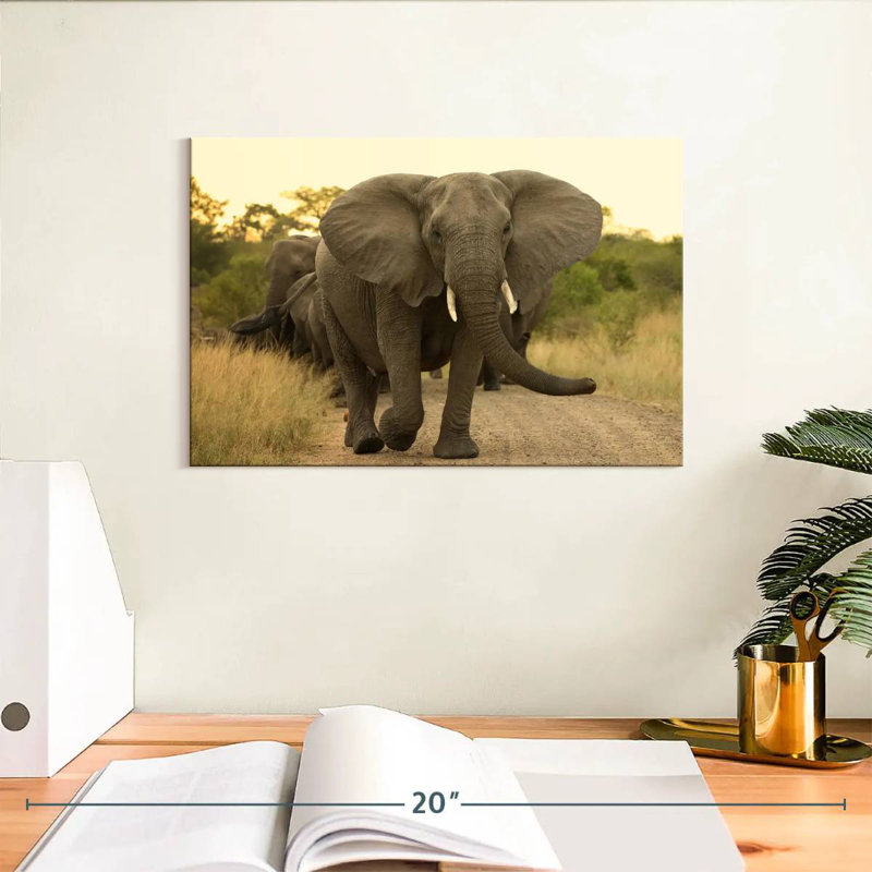 Brampt The Elephant Walk, 8" H x 12" W