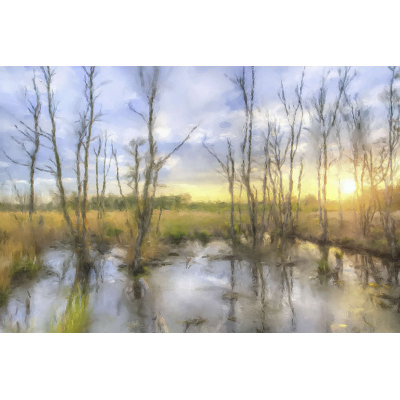 Sunrise Swamp - peinture sur toile tendue, H 8 po x l 12 po