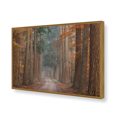 «Autumn Pathway» par Martin Podt, reproduction d'art