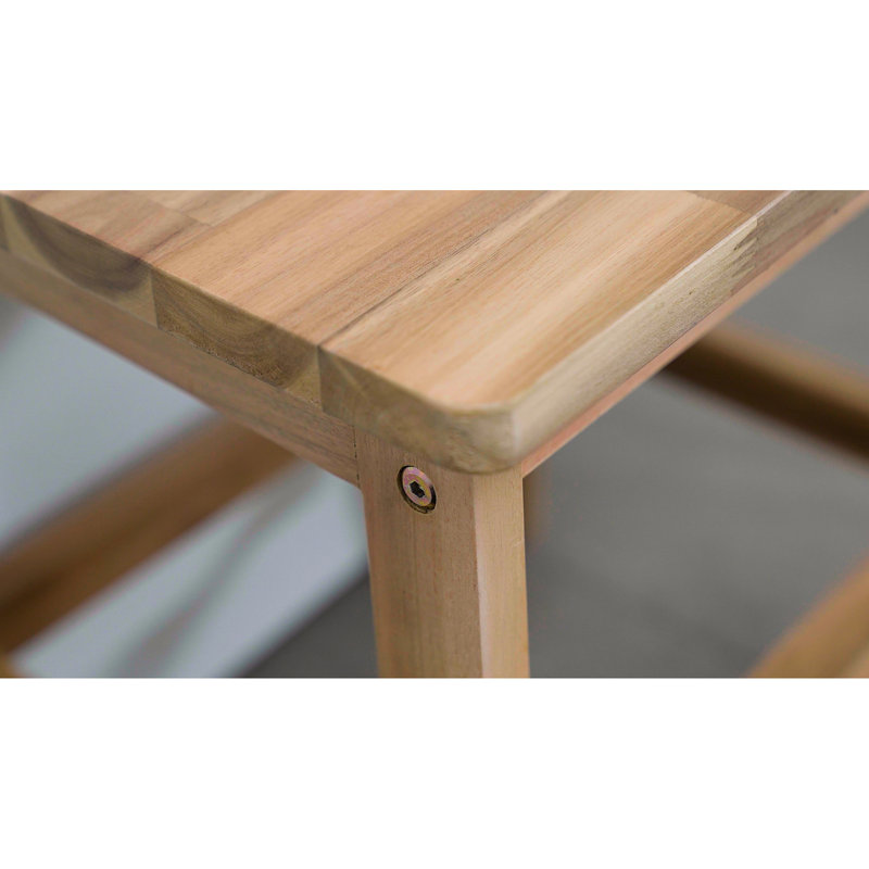 Tabouret à 2 marches en bois, l 16,9 po x l 15,4 po, sécuritaire, polyvalent pour la maison