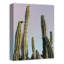 Grand cactus sur toile-1169974989-1169974990