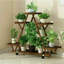 Support pour plante Nicholes