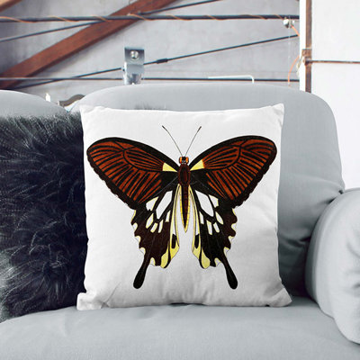 Square Cushion