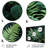 Green And Black Ferns Dynamic Contrast III Plants & Flowers Wall Decor on Metal