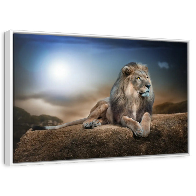 Roi lion, Cadre flottant blanc, 43 po x 29 po